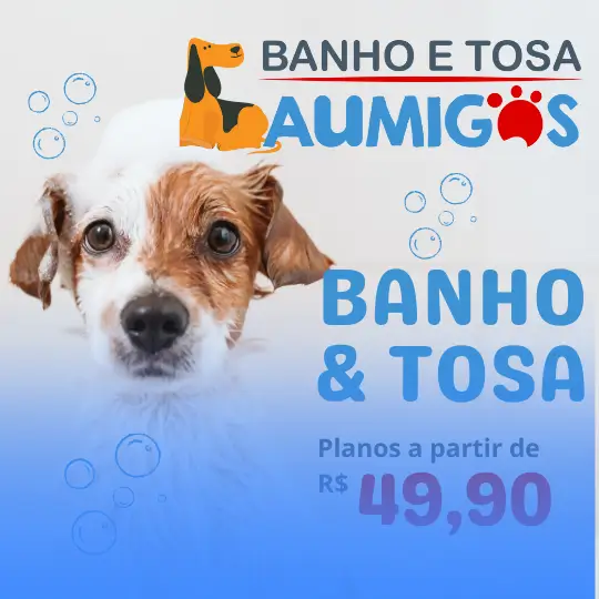 Banho e tosa